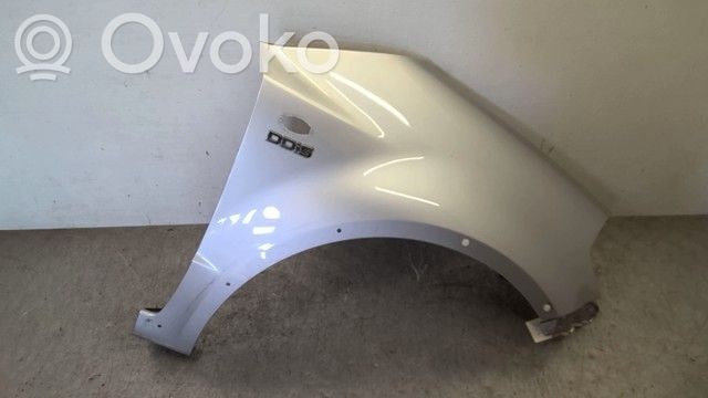 Guardabarro   5761179J20