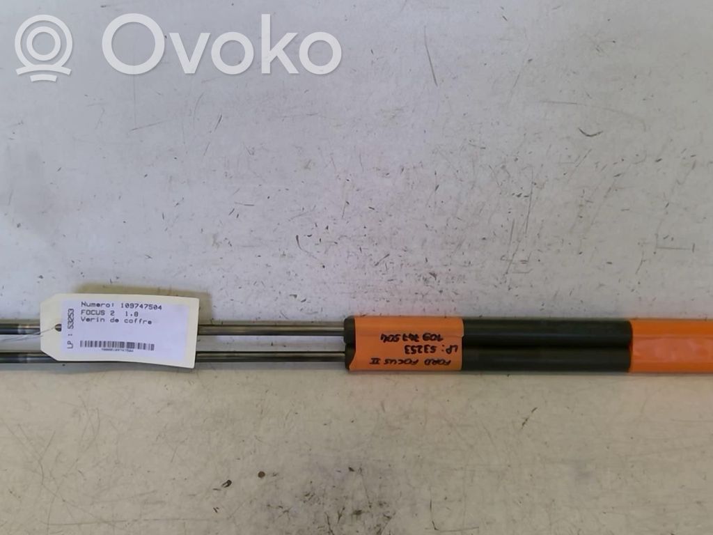 Ford Focus Tailgate/trunk strut/damper 