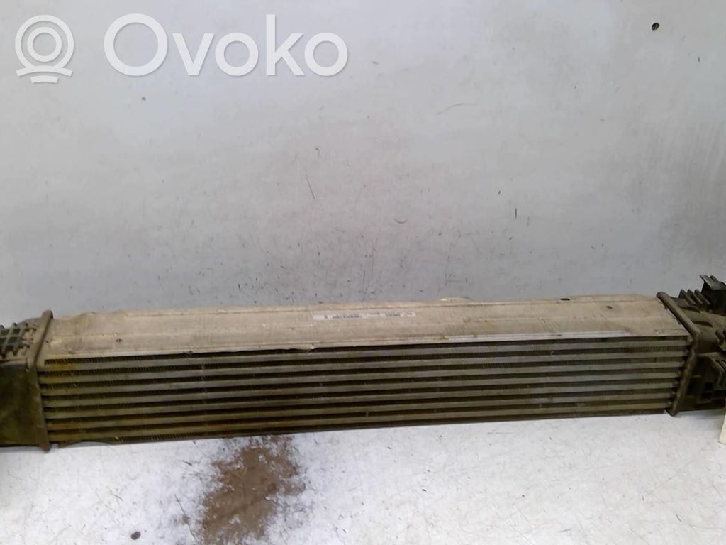 Interkūlerio radiatorius   8200880552