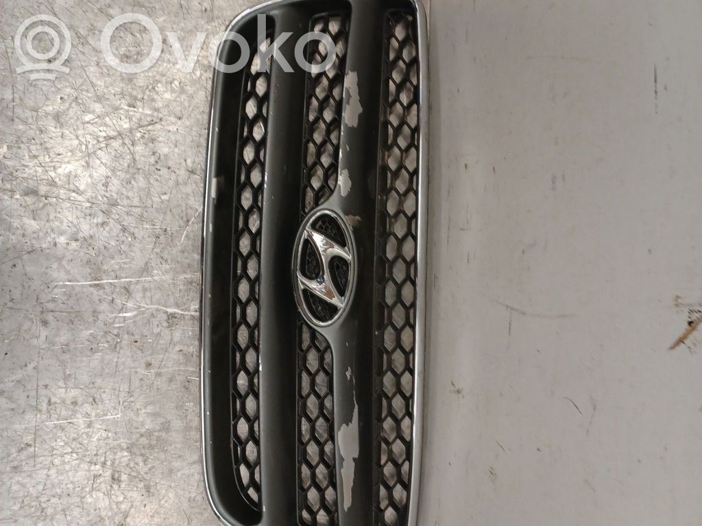 Etusäleikkö   865602B010