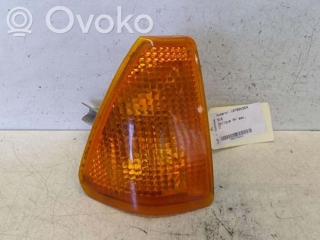Front fender indicator light