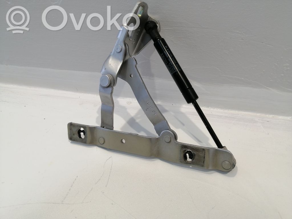 Aizmugurējā pārsega eņģe (-ess)   98651215101