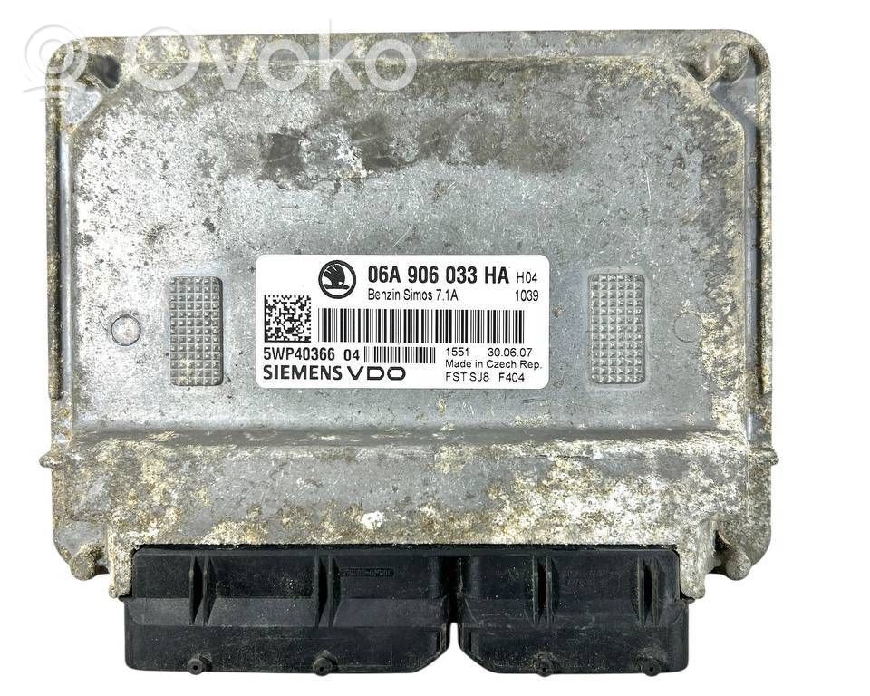 Engine control unit/module   06A906033HA