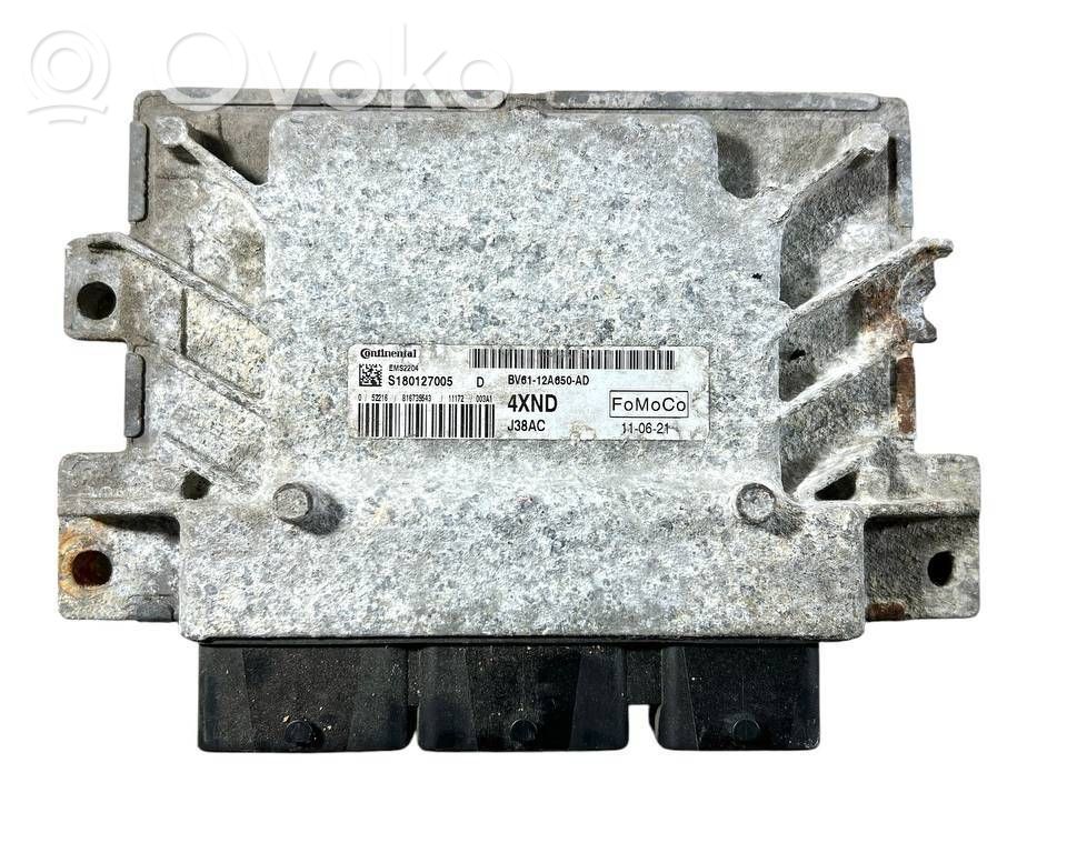 Ford Focus Engine control unit/module 