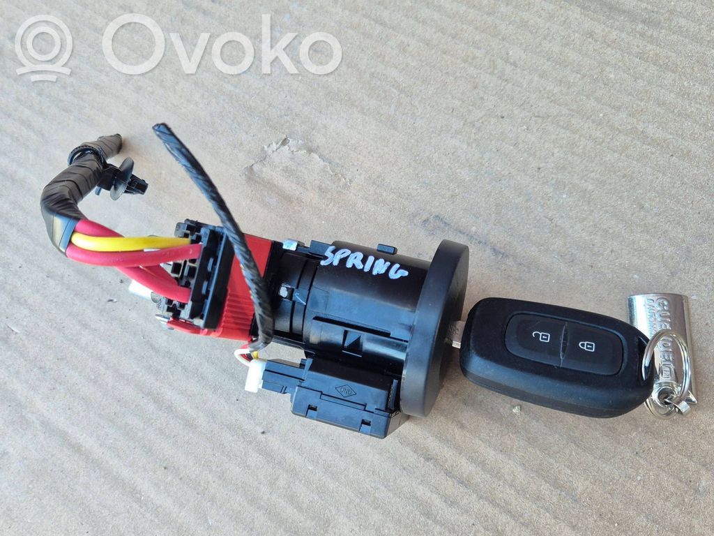Ignition lock   F1491B749,285910001R,4419AAW1102