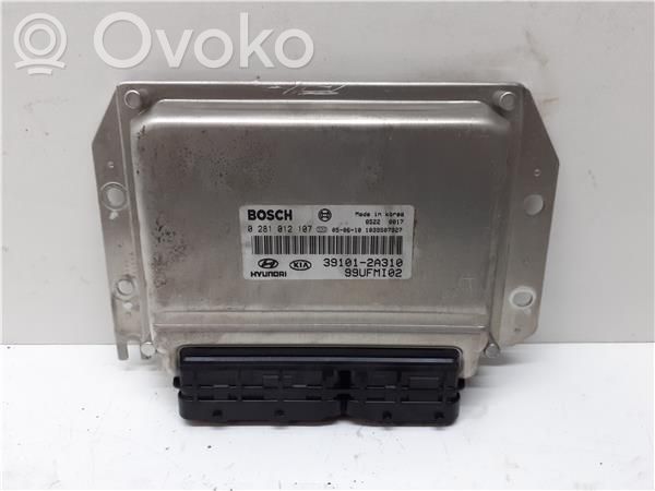 Engine control unit/module   391012A310,028101210799UFMI02