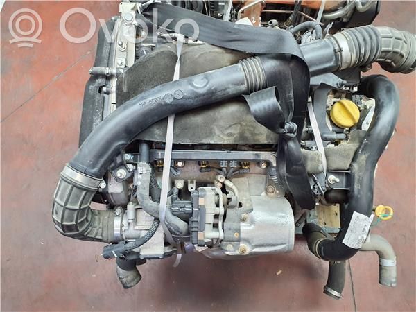 Motor   1100055P00,D16AA