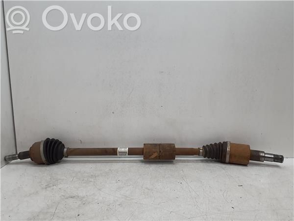 Ford Focus Planetară față 