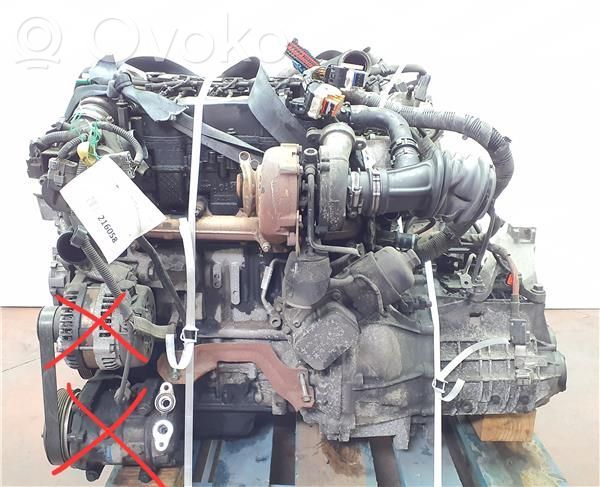 Motor   D4164T