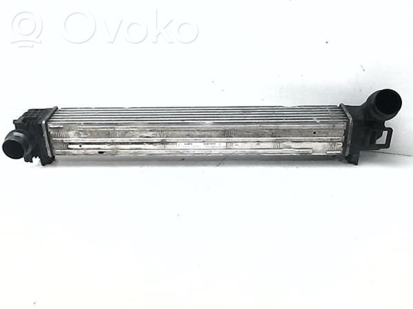 Renault Megane III Radiatore intercooler 
