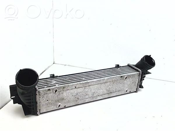 Radiador intercooler   17517798788,79878802