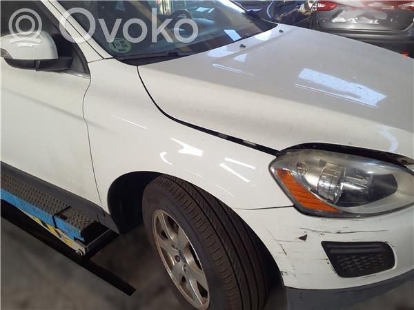 Guardabarro   31217976