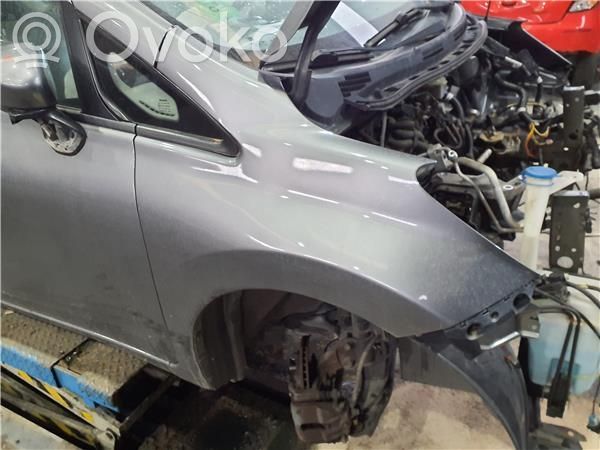 Guardabarro   F31003VVAA