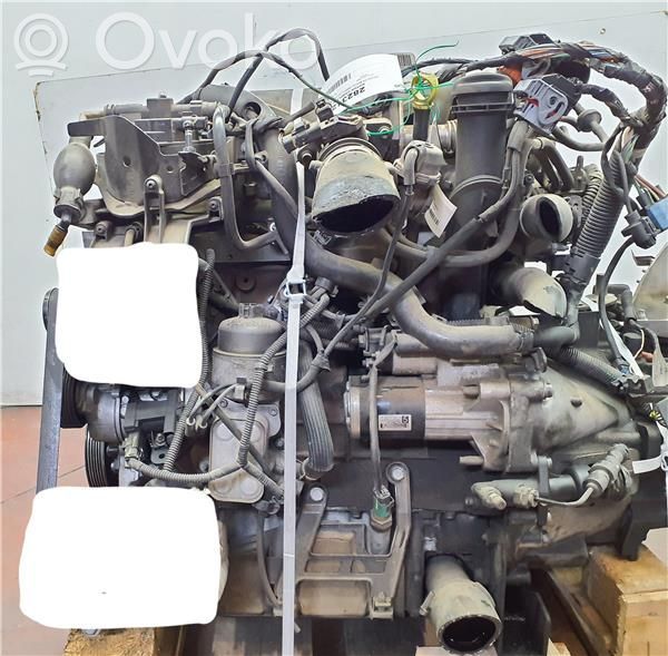 Motor   135QG,RHR