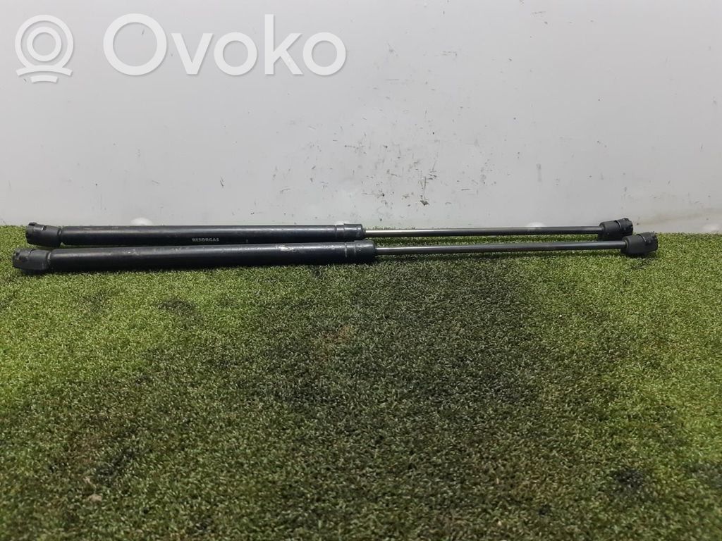 Citroen TEST Amortizatorius galinio dangčio 