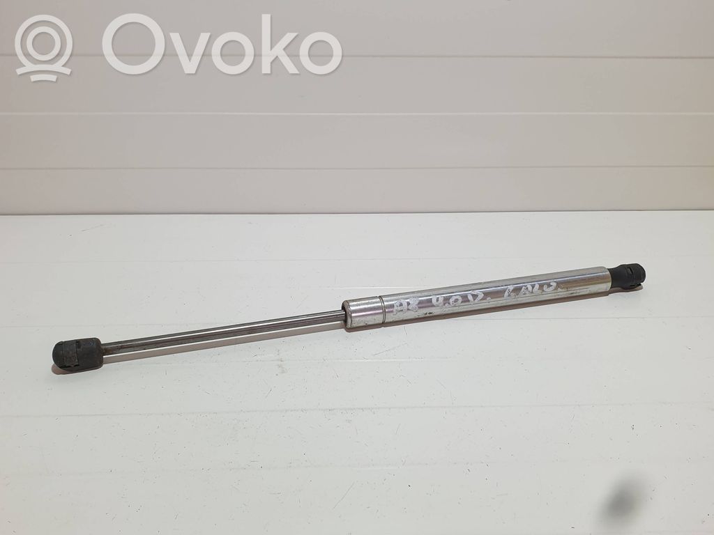 Tailgate/trunk strut/damper   0265N
