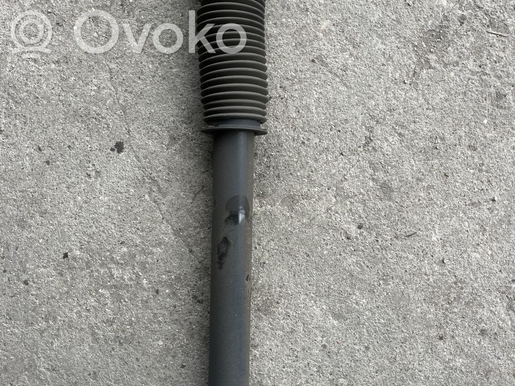 Tesla Model 3 Ammortizzatore posteriore 