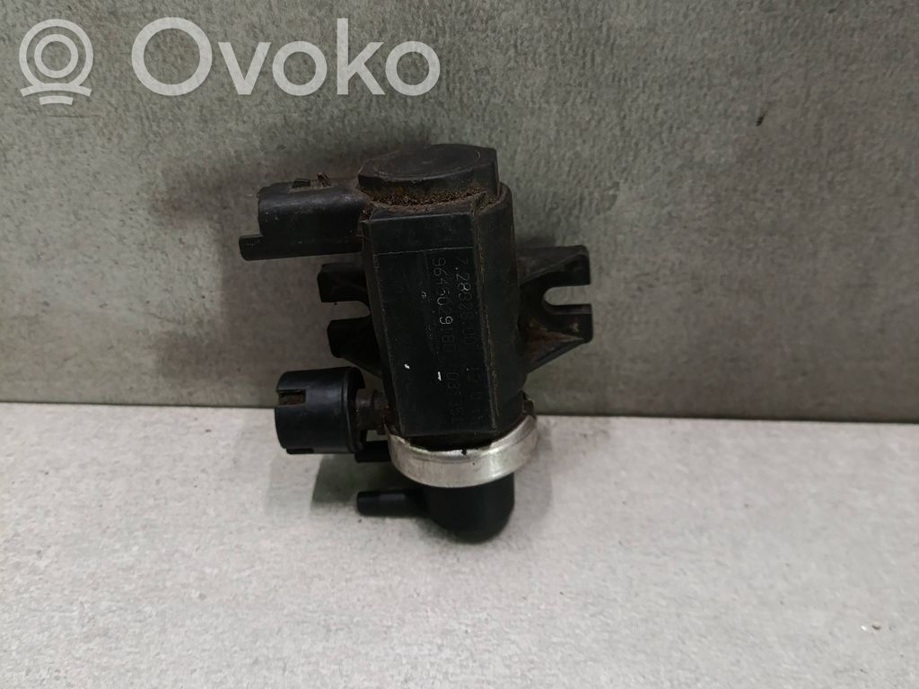 Peugeot 307 Solenoidinis vožtuvas 