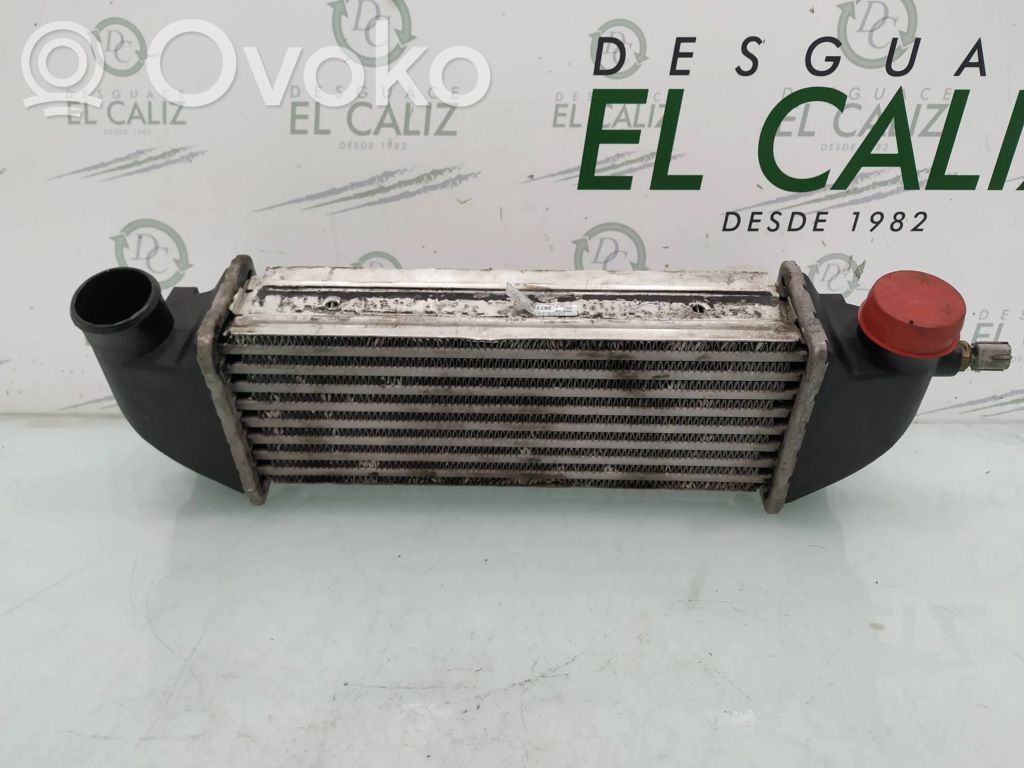 Intercooler radiator   4999282
