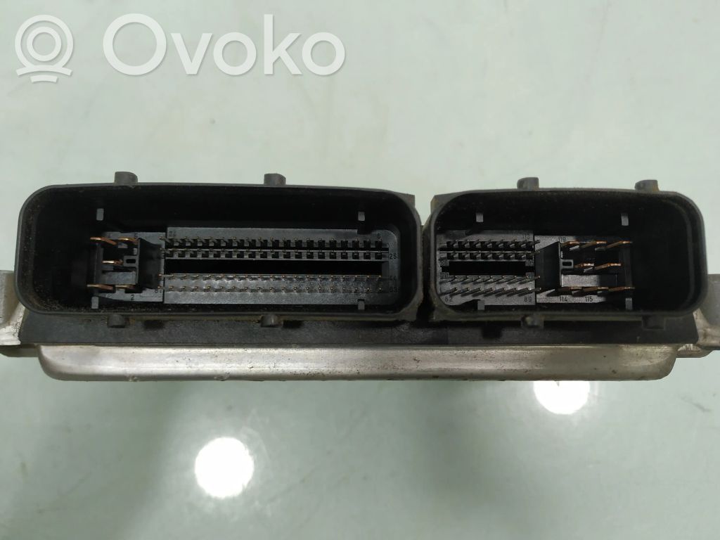Seat Ibiza III (6L) Engine control unit/module 