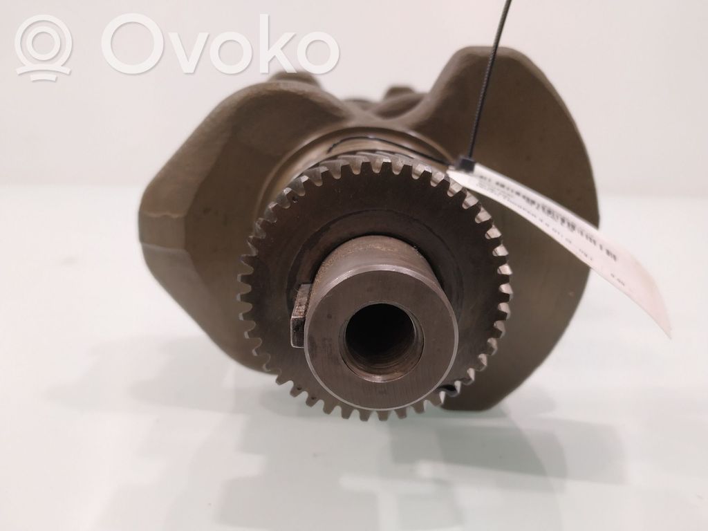 Isuzu Trooper Crankshaft 