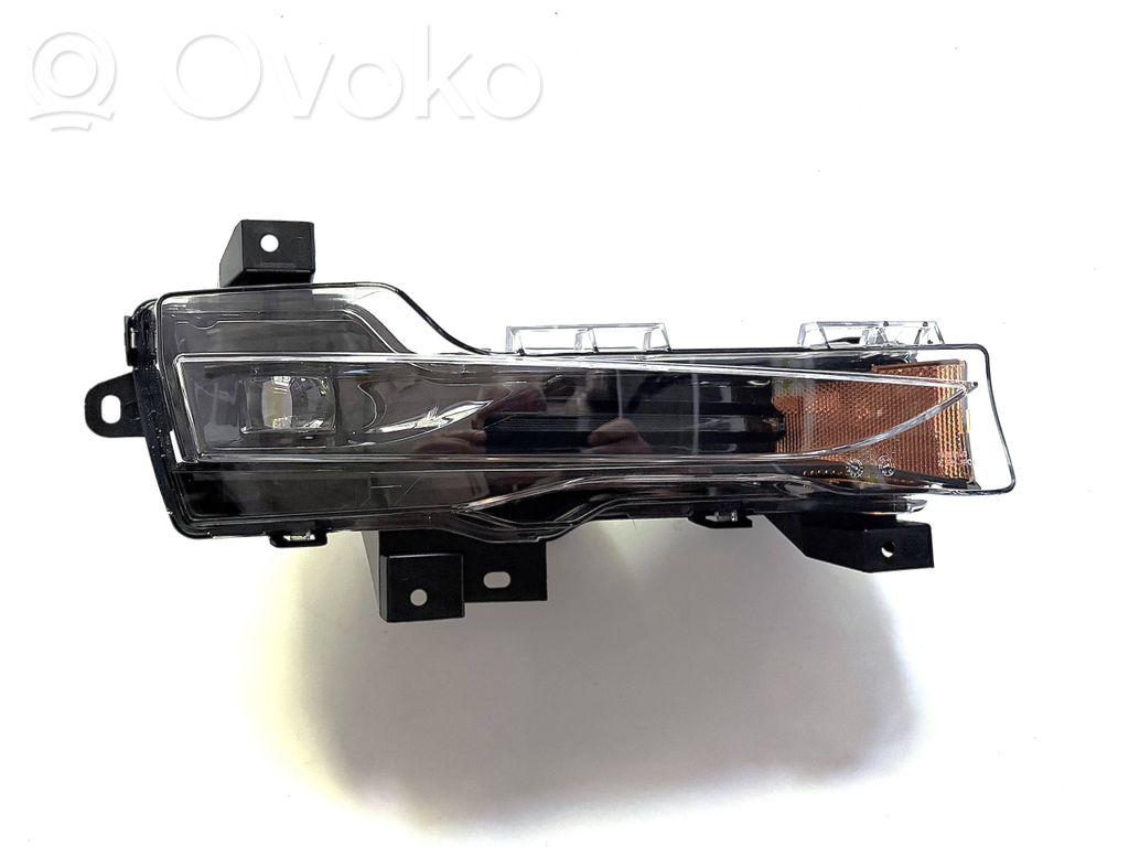Tesla Model Y Front fog light 