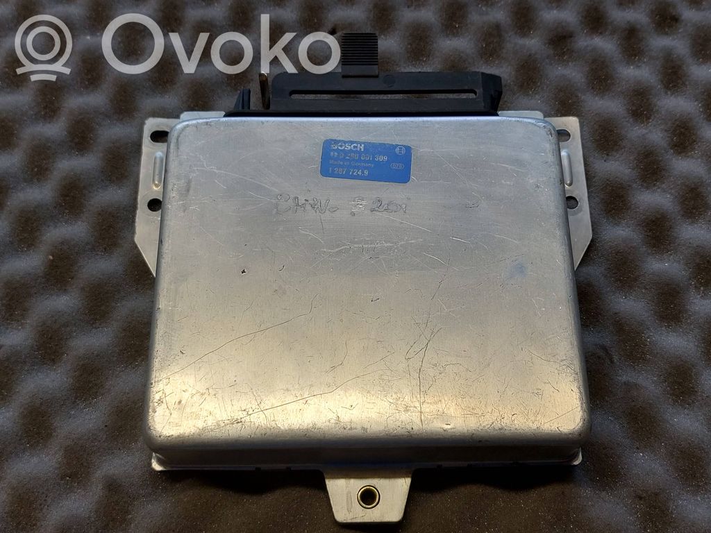 BMW 5 E34 Engine control unit/module 