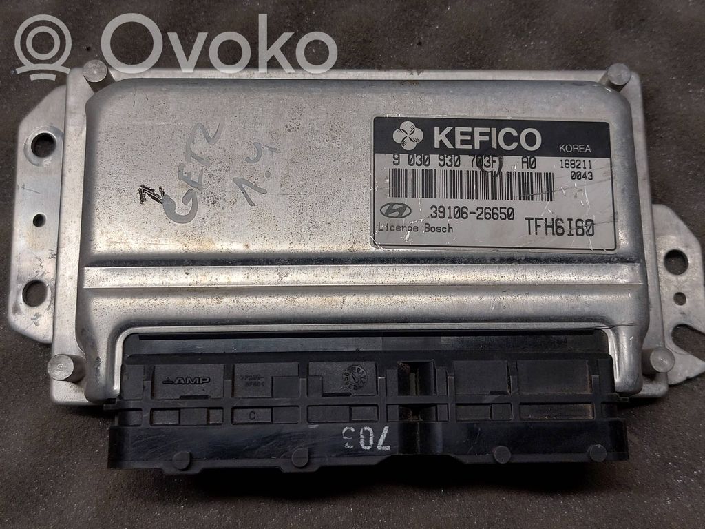Hyundai Getz Engine control unit/module 