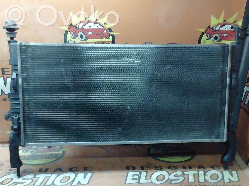 Coolant radiator   RA0121170