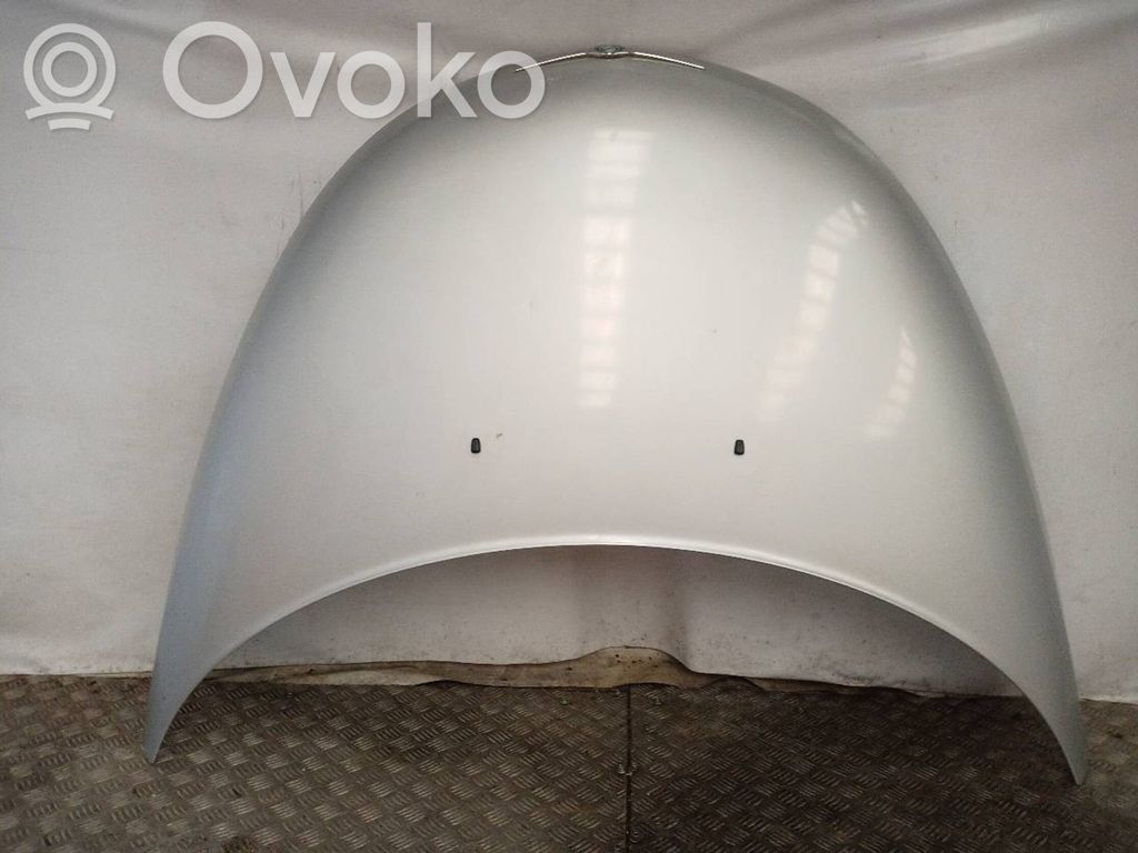 Engine bonnet/hood