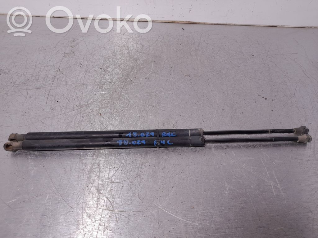 Tailgate/trunk strut/damper