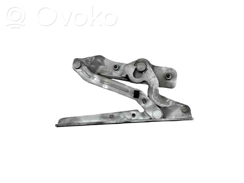 Ford Ecosport Engine bonnet/hood hinges 