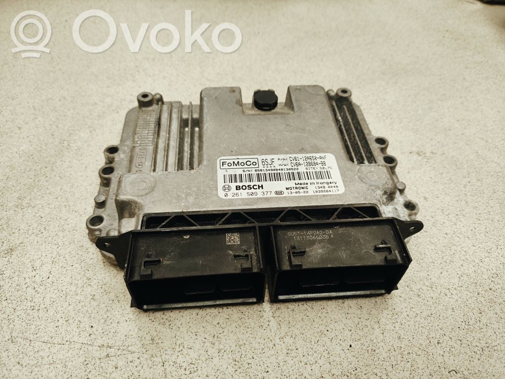 Ford Focus Engine control unit/module 