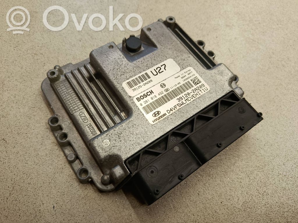 Engine control unit/module   391252A209,391202A209,0281018492