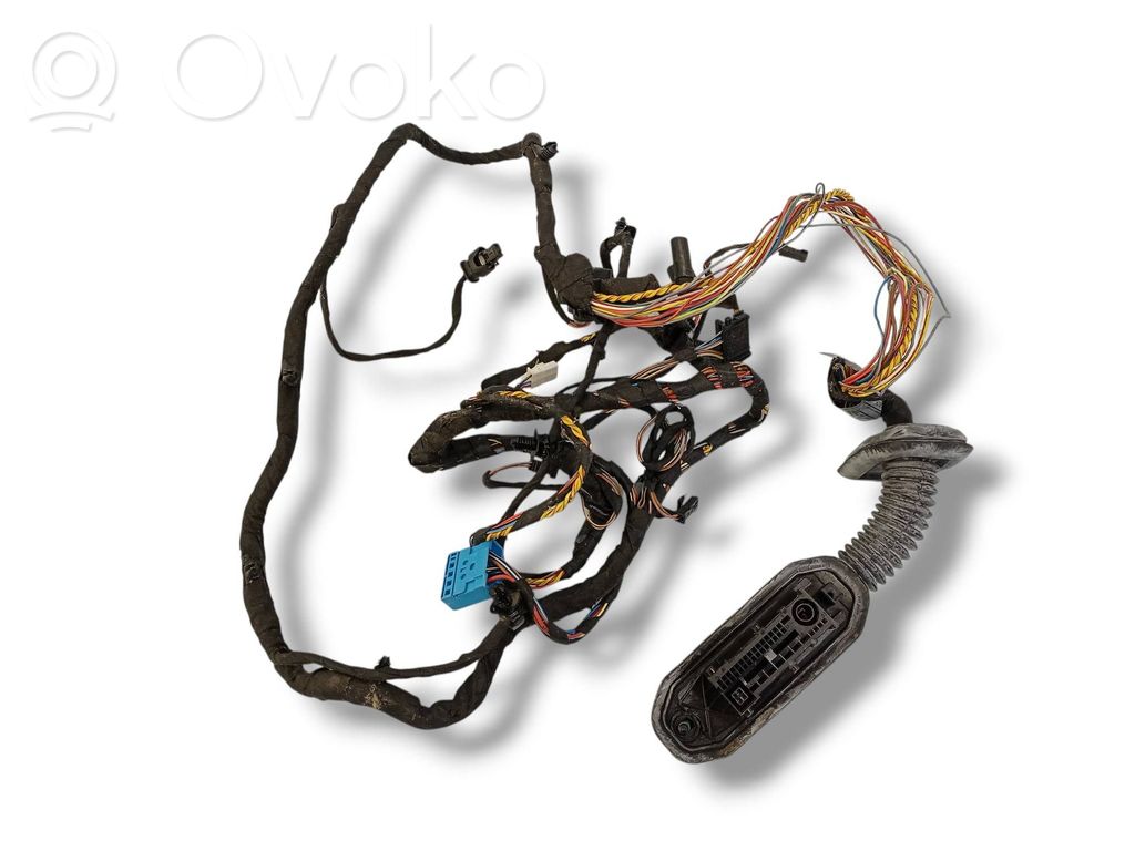 BMW 5 GT F07 Rear door wiring loom 