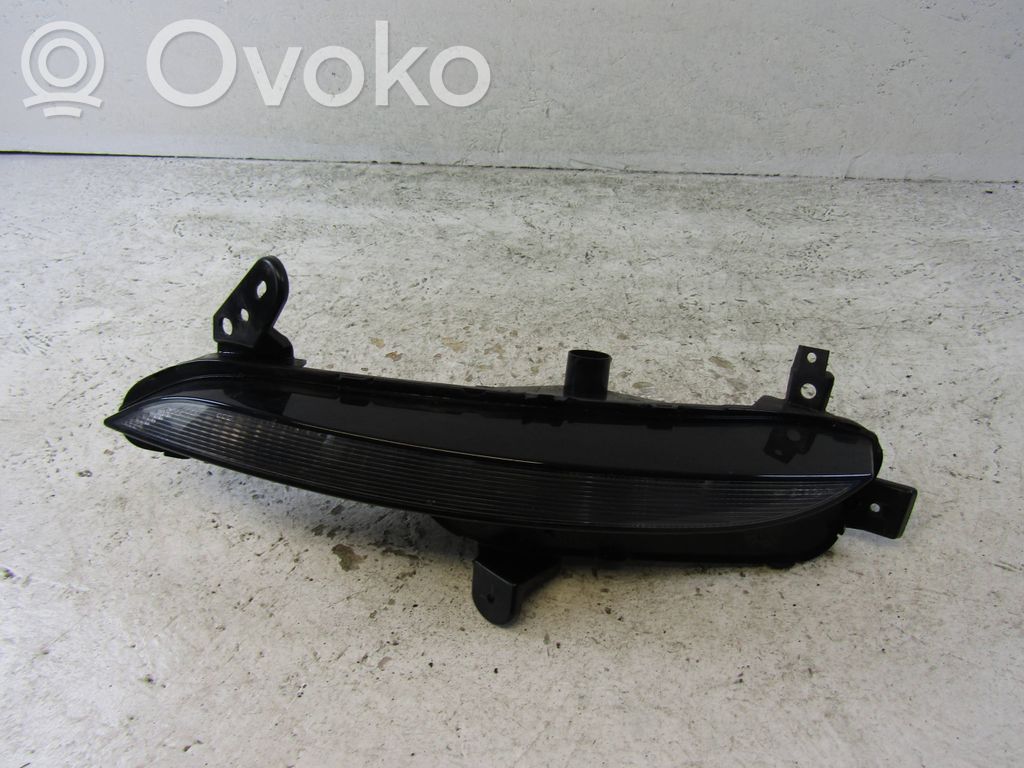 Frontblinker   261306376R