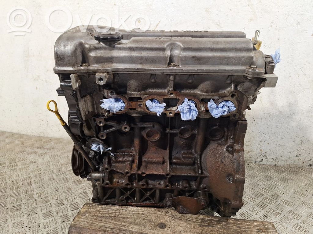 Variklis   Z5DE,BA11