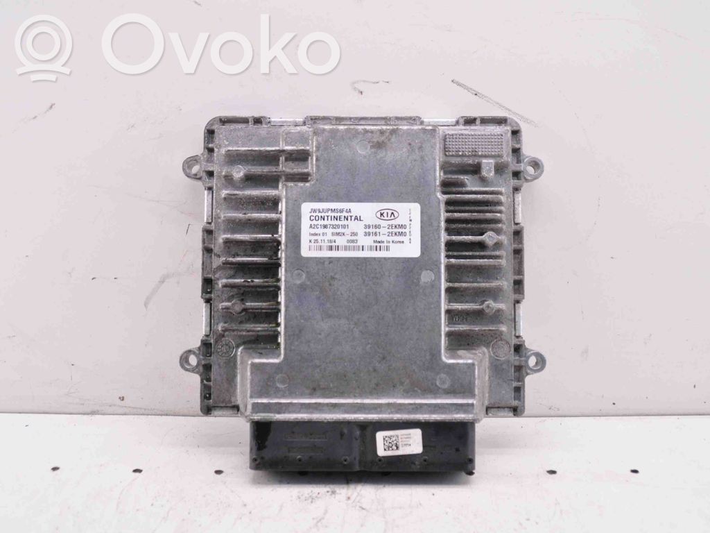 Engine control unit/module   391612EKM0,A2C1987320101,391602EKM0