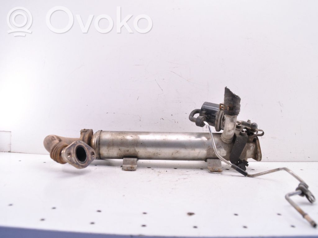 Volkswagen Golf VI Supapă EGR 