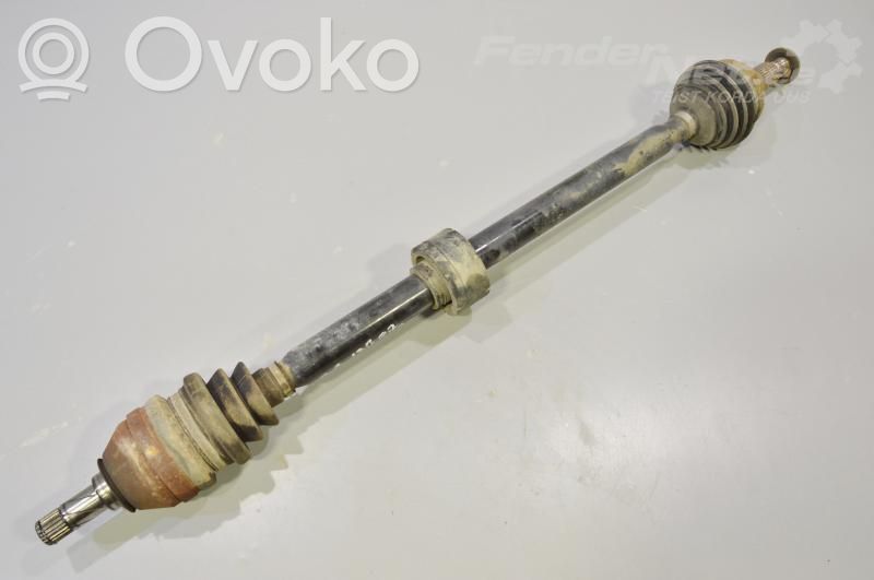 Priekšējā pusass   12804150