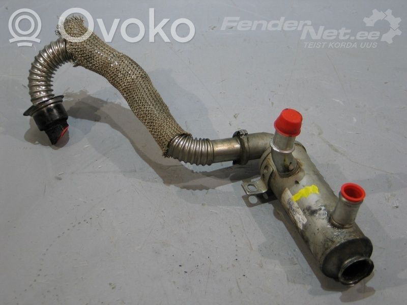 Peugeot 307 EGR aušintuvas 