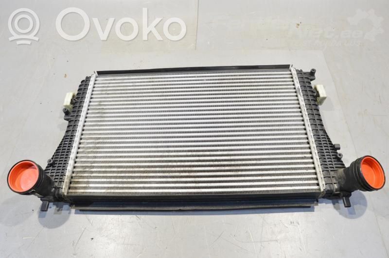 Interkūlerio radiatorius   Y9094001,1K0145803T