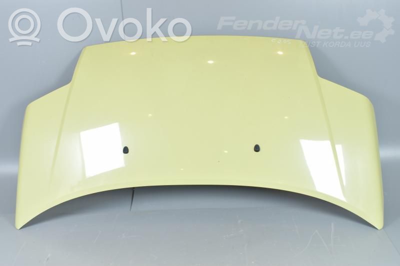 Motorhaube   7901K2