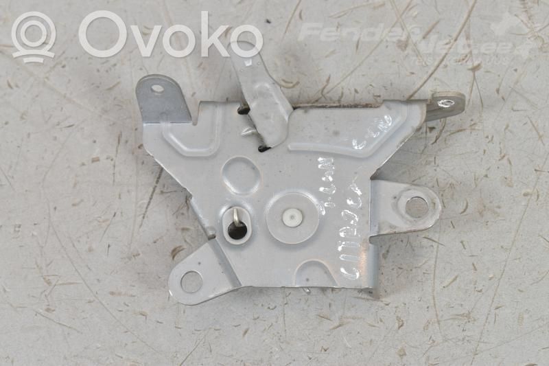 Tailgate trunk handle   5810A006