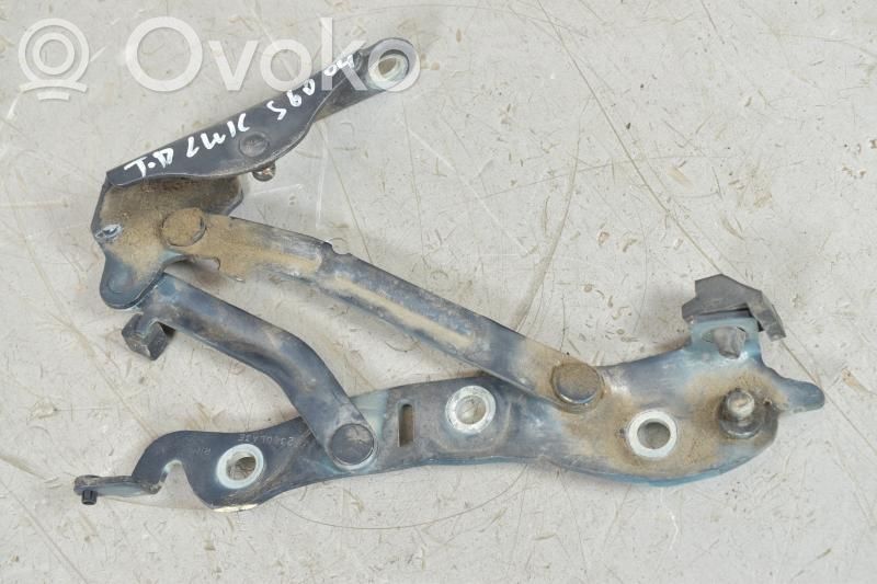 Tailgate/trunk/boot hinge   30779936