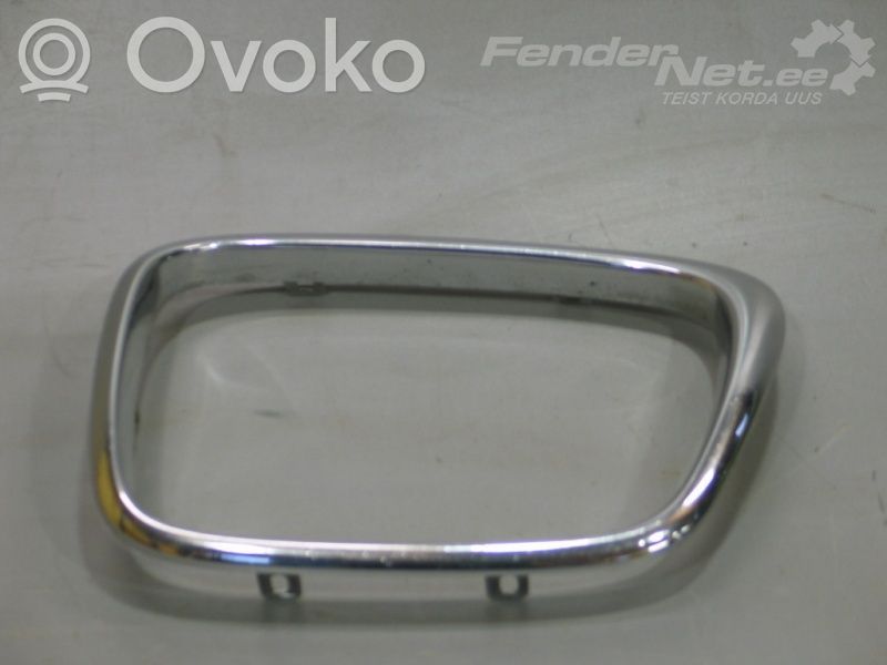 Front grill   2494065