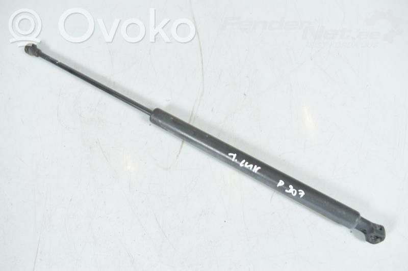 Tailgate strut   8731L7