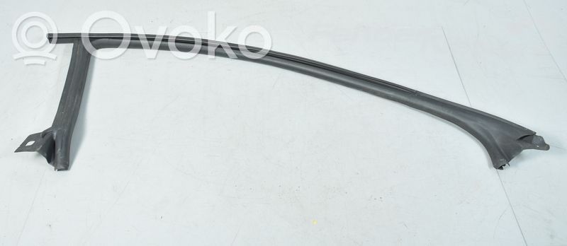 Volkswagen PASSAT CC Gumowa uszczelka drzwi przednich 