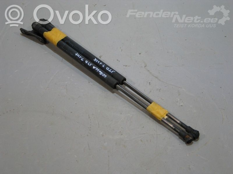 Tailgate strut   689600W170,689600W171