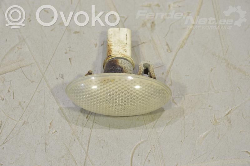 Peugeot 407 Seitenblinker 